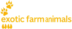 exotic farm animals