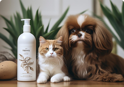 Gentle Coat Care Shampoo